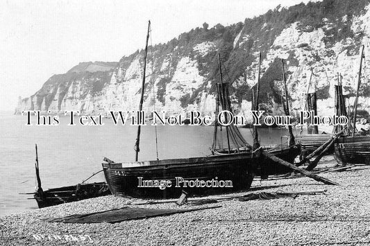 DE 4229 - Beer, Devon