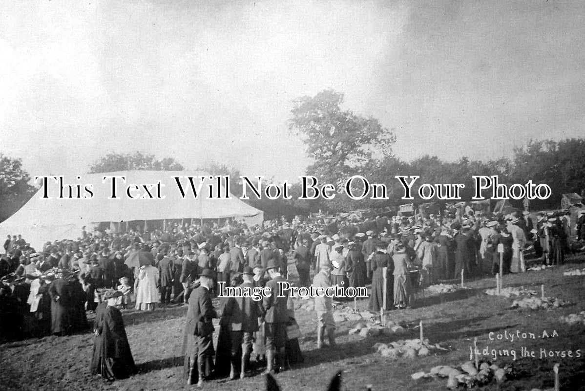 DE 4242 - Colyton Agricultural Show, Devon c1908