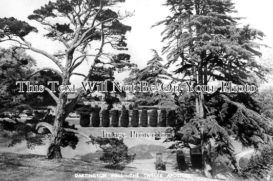 DE 4290 - The Twelve Apostles, Dartington Hall, Devon