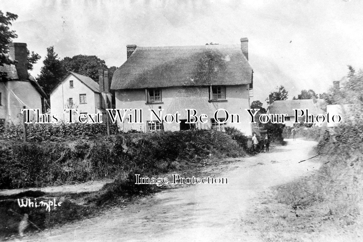 DE 462 - Whimple Village, Devon c1904