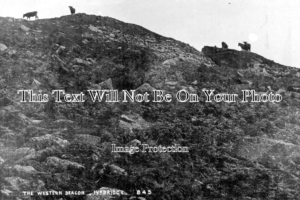 DE 485 - The Western Beacon, Ivybridge, Devon