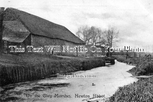 DE 548 - On The Clay Marshes, Newton Abbot, Devon c1905
