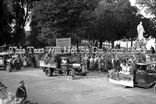 DE 584 - Bideford Carnival, Devon