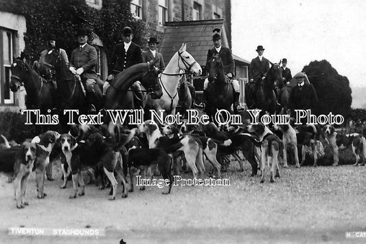DE 596 - Tiverton Staghounds, Devon