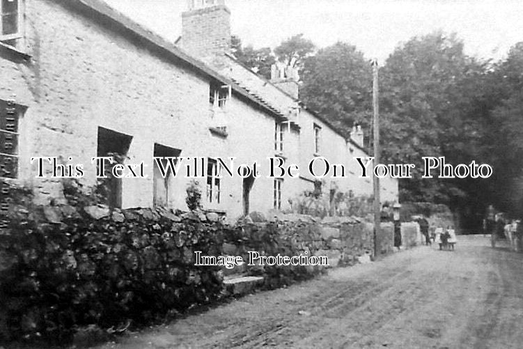 DE 684 - Sparkwell, Devon