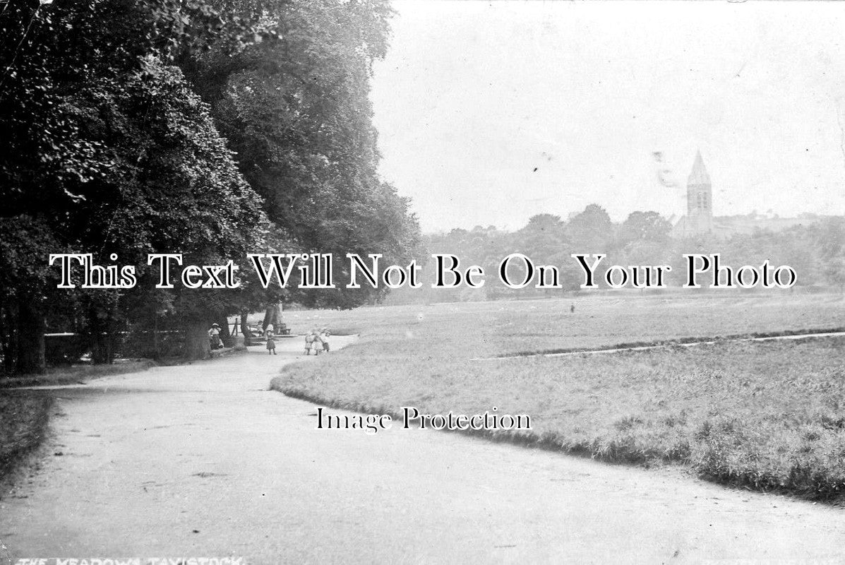 DE 727 - Meadows, Tavistock, Devon