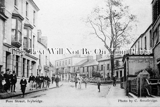 DE 732 - Fore Street, Ivybridge, Plymouth, Devon c1904