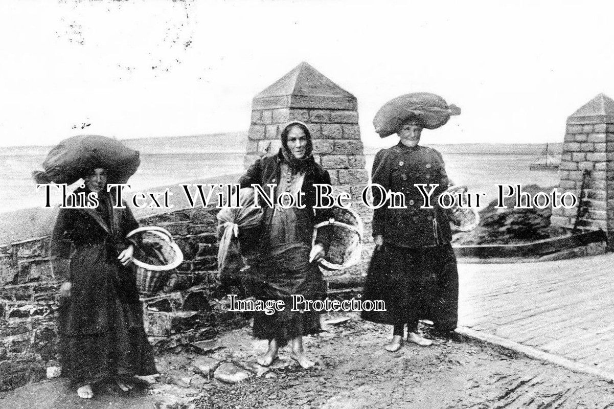 DE 733 - Sea Weed Gatherers, Appledore, Devon c1904