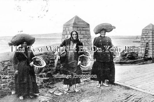 DE 733 - Sea Weed Gatherers, Appledore, Devon c1904