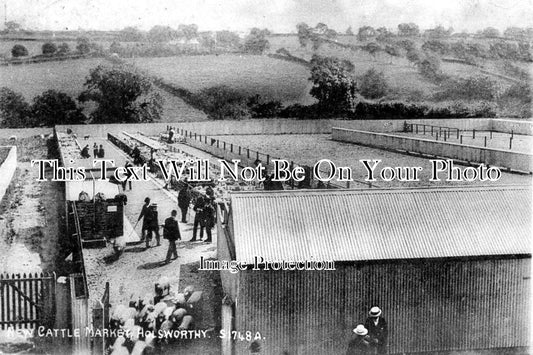 DE 749 - Cattle Market, Holsworthy, Devon c1912