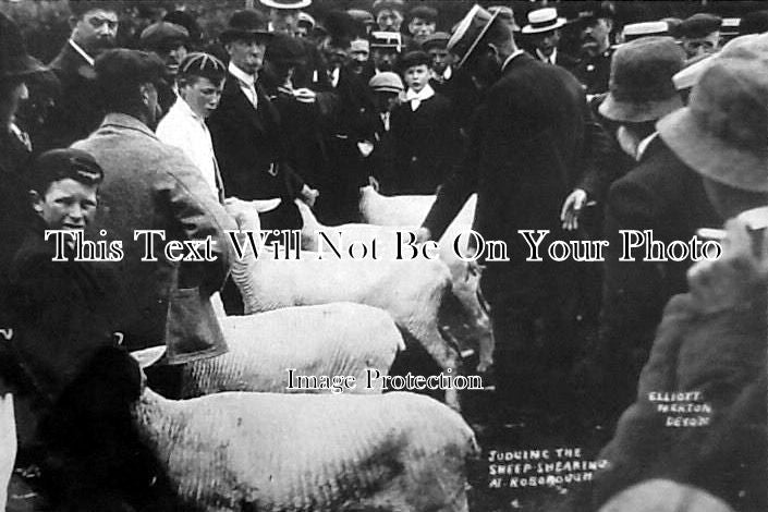 DE 764 - Sheep Shearing, Roborough, Devon