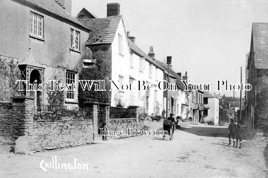 DE 801 - Chillington, Devon