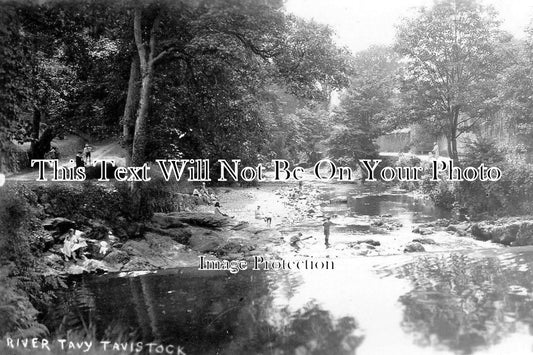 DE 940 - The River Tavy, Tavistock, Devon