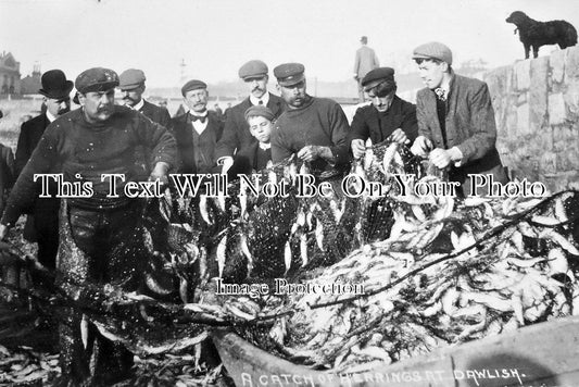 DE 988 - Dawlish Fishermen With Herring Catch, Devon