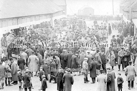 DO 1057 - Cattle Prize Market, Shaftesbury, Dorset c1905