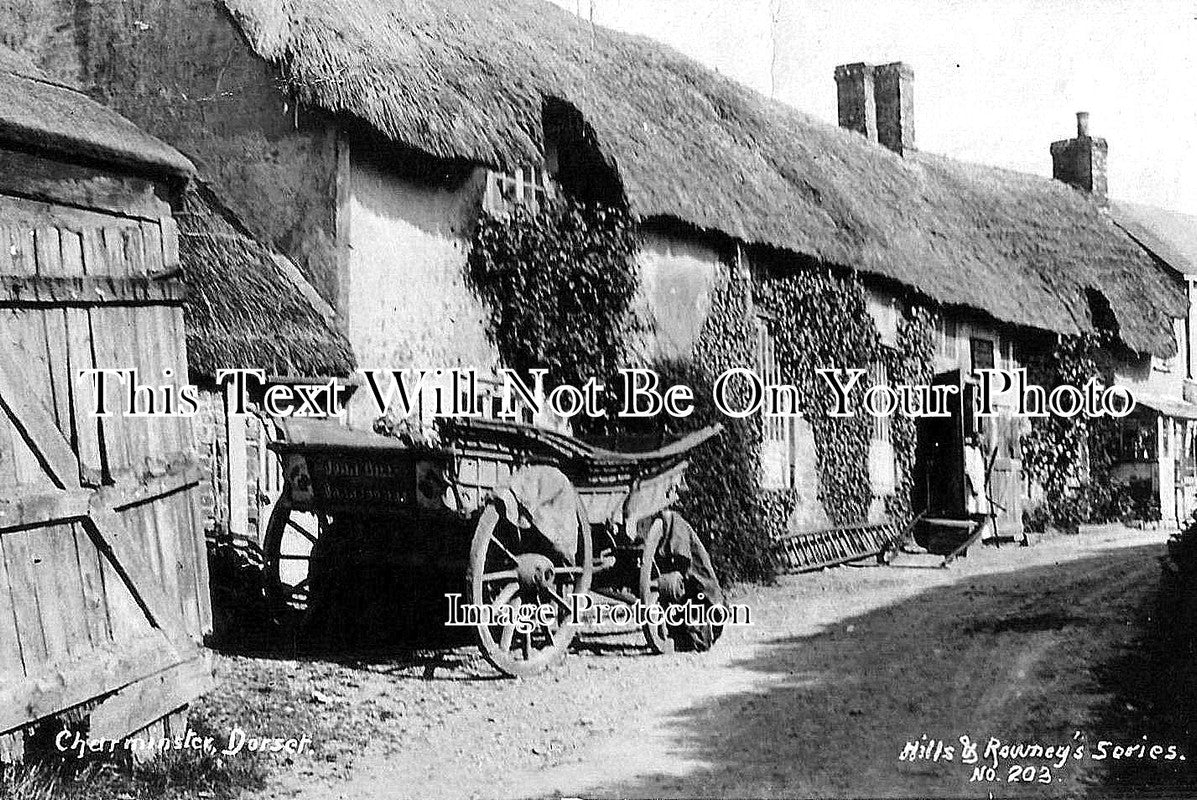 DO 107 - Thatched Cottages, Charminster, Dorset