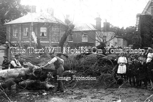 DO 1198 - Carriage Crushed By Tree At Bulls Head, Parr Street, Poole, Dorset