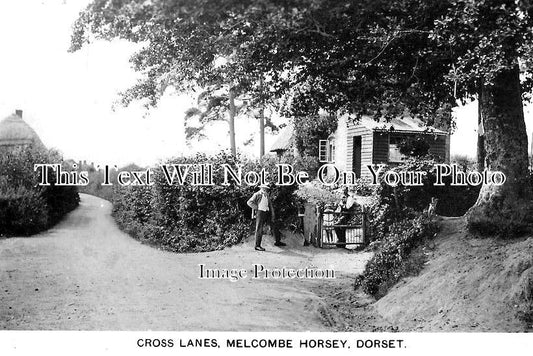 DO 1294 - Cross Lanes, Melcombe Horsey, Dorset