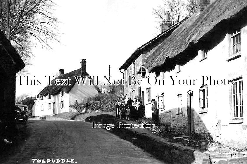 DO 1337 - Tolpuddle, Dorset