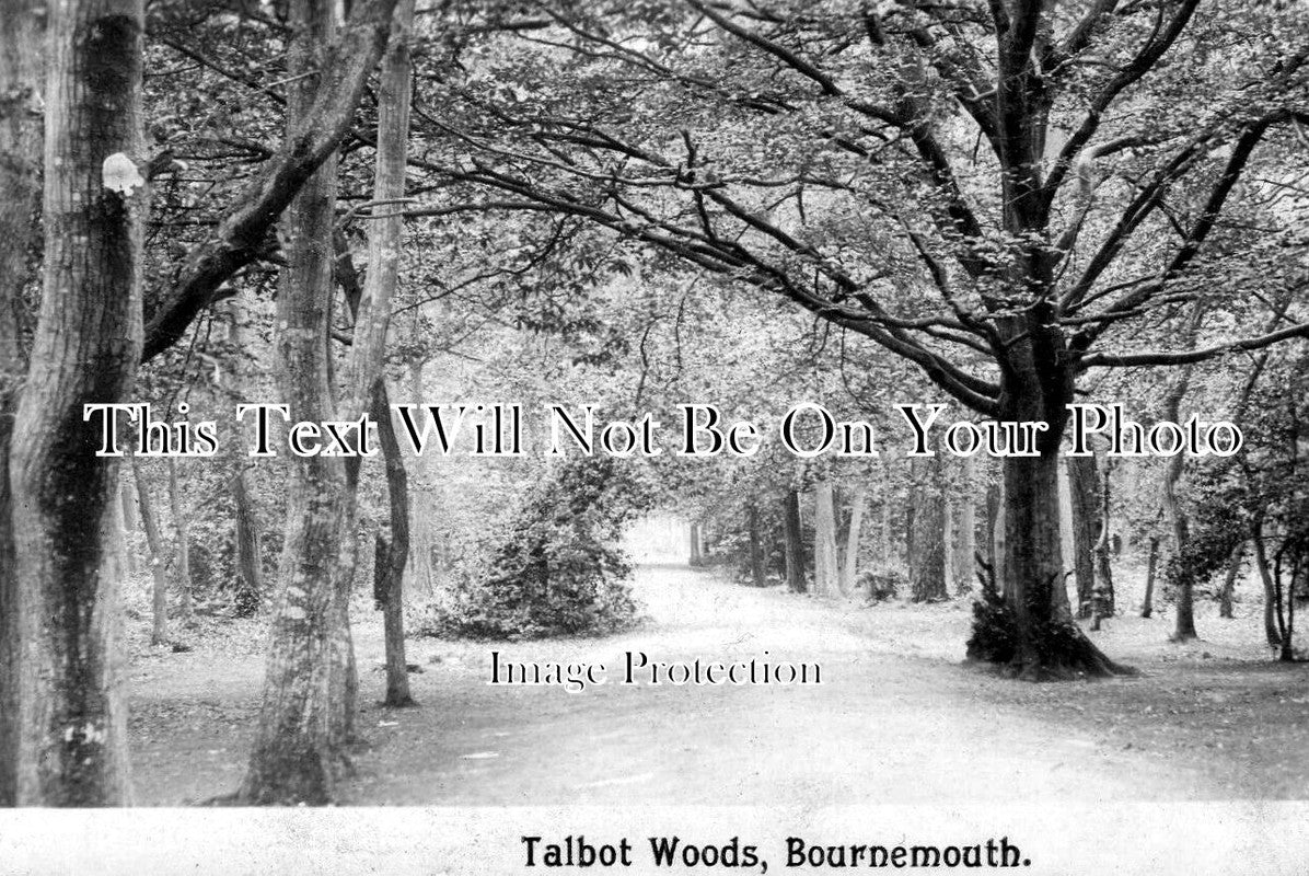 DO 1736 - Talbot Woods, Bournemouth, Dorset