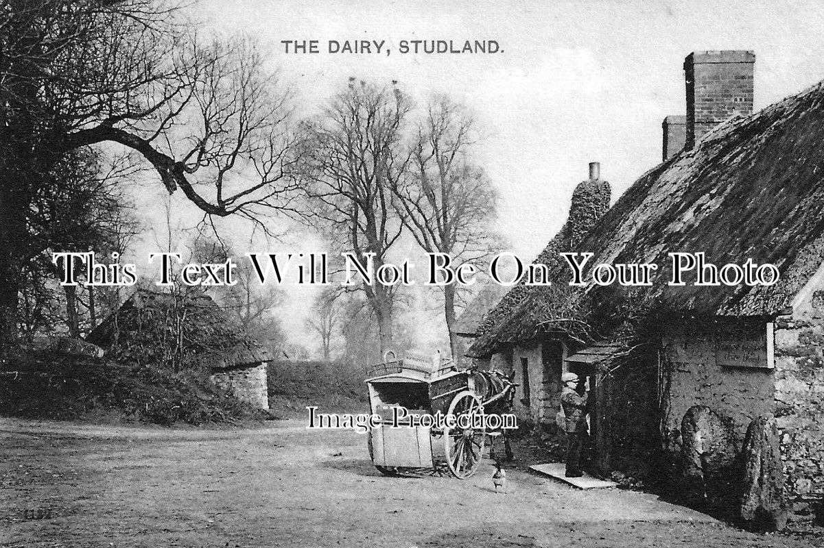 DO 18 - The Dairy At Studland, Dorset