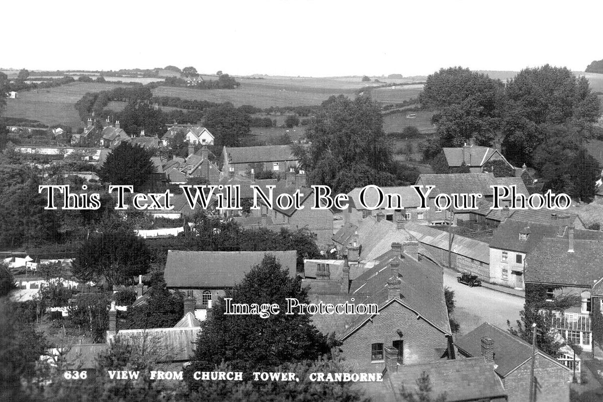 DO 1819 - View From Cranborne Church Tower, Dorset