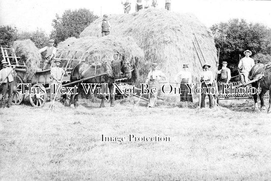 DO 1831 - Hay Harvesting, Shaftesbury, Dorset