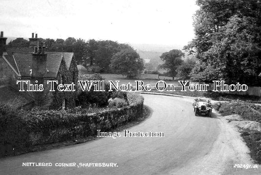 DO 1910 - Nettlebed Corner, Shaftesbury, Dorset