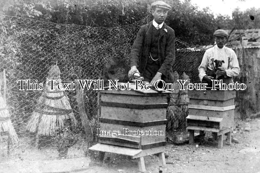 DO 217 - Beekeeping, Mitchem, Mosterton, Dorset c1913