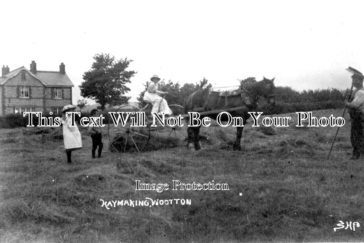 DO 2203 - Haymaking At Wootton, Dorset