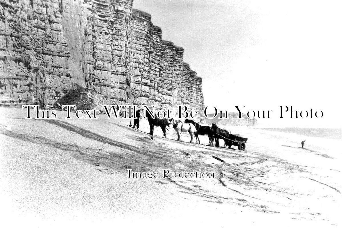 DO 2221 - Hauling Sand, West Bay, Bridport, Dorset