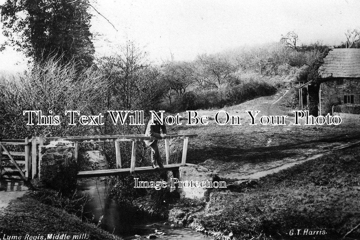 DO 242 - Middle Mill, Lyme Regis, Dorset c1905