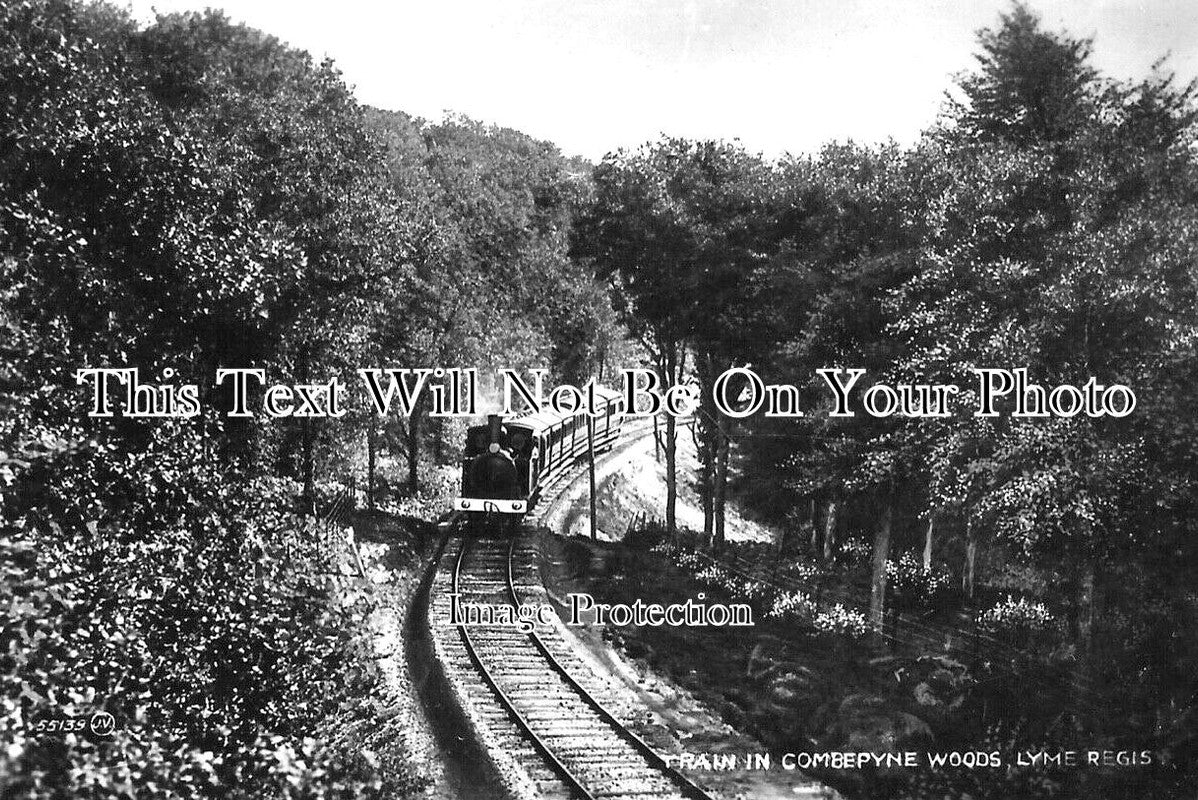 DO 2512 - Train In Combepyne Woods, Lyme Regis, Dorset