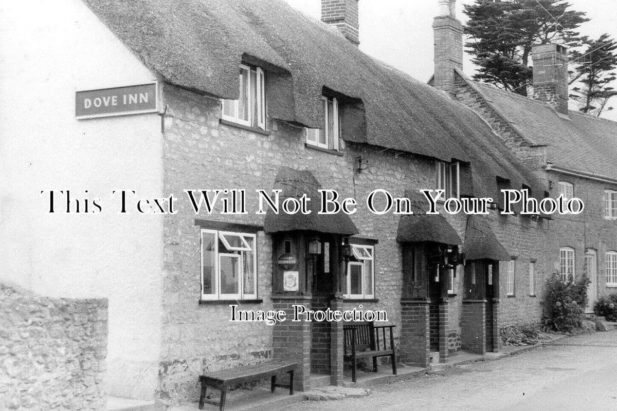 DO 2630 - The Dove Inn Pub, Burton Bradstock, Dorset