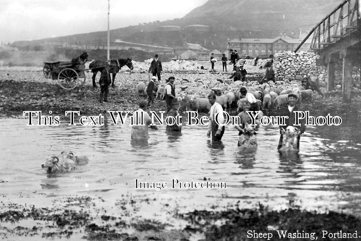 DO 2667 - Sheep Washing, Portland, Dorset