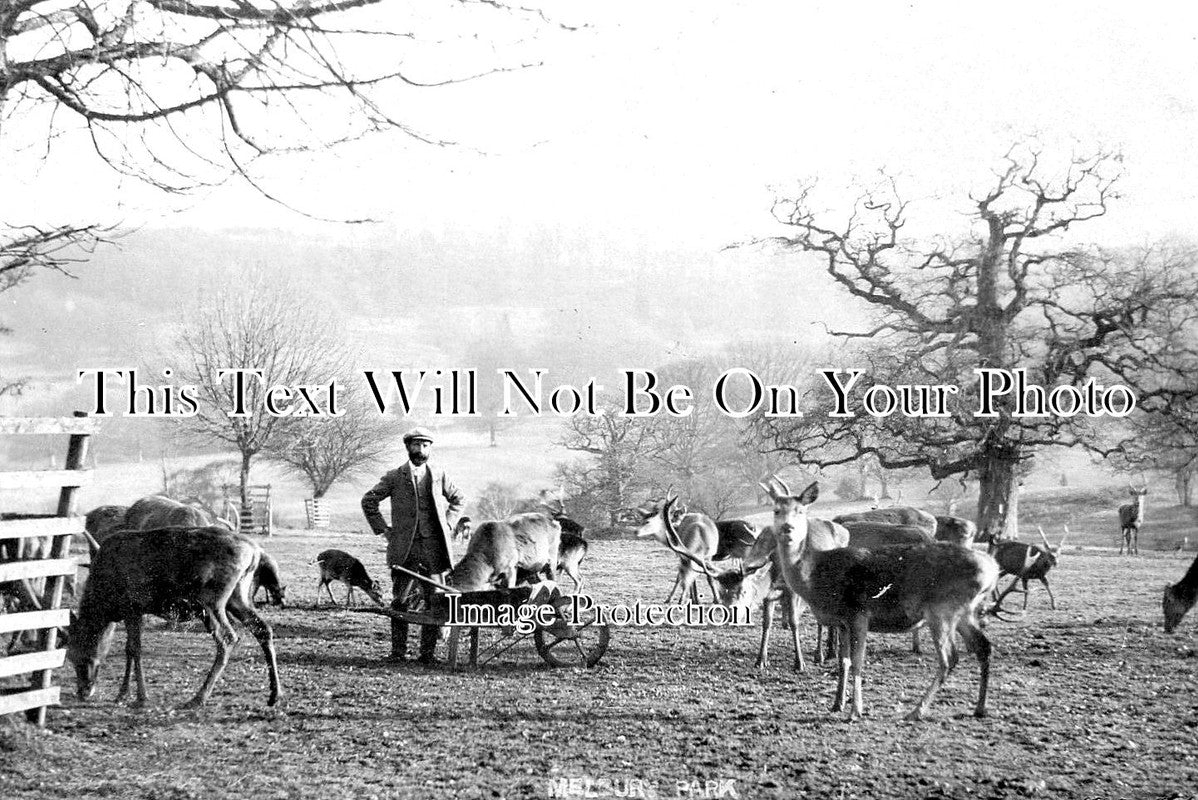 DO 2670 - Melbury Park, Dorset c1908