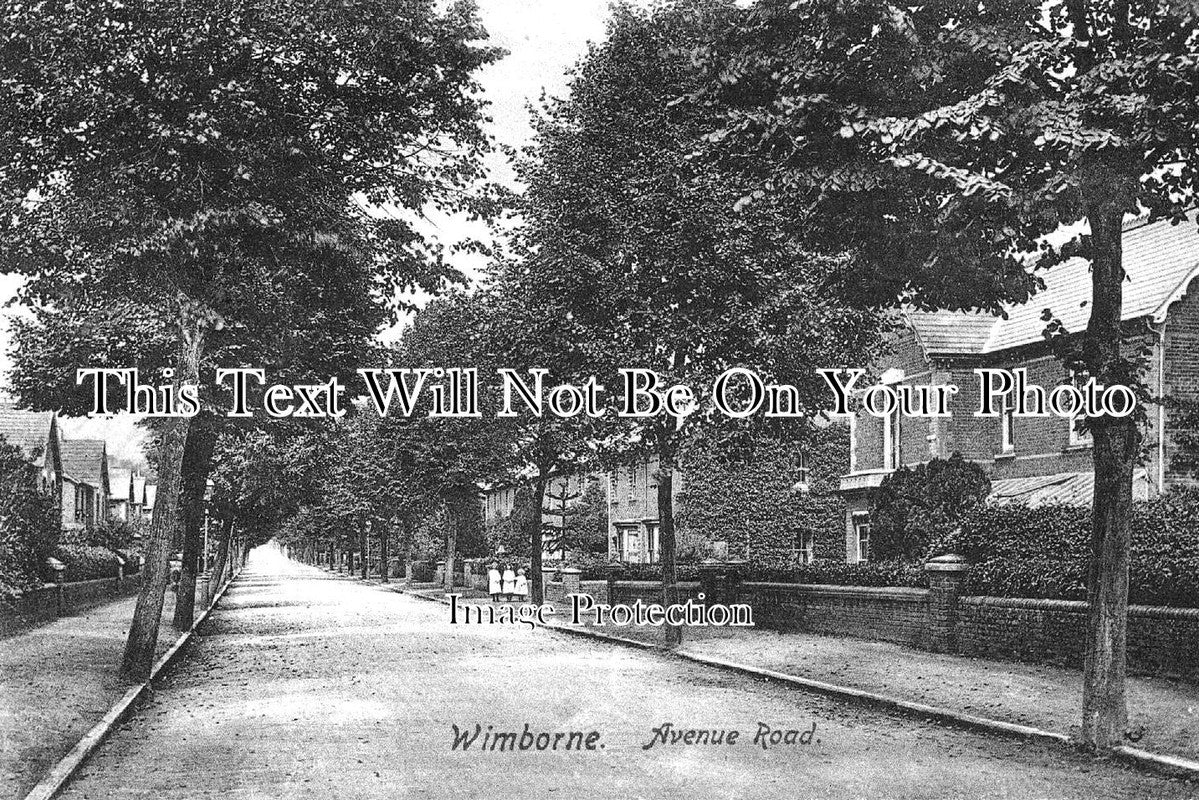 DO 2759 - Avenue Road, Wimborne, Dorset c1906