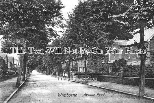 DO 2759 - Avenue Road, Wimborne, Dorset c1906