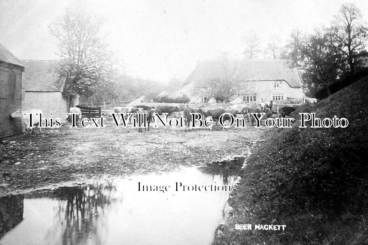 DO 2764 - Beer Hackett, Dorset c1908