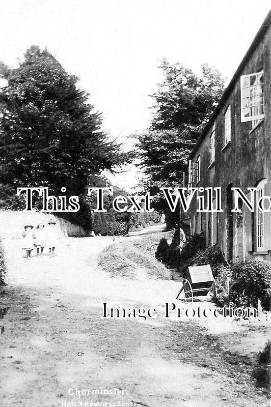 DO 2822 - Mill Lane, Charminster, Dorchester, Dorset c1914