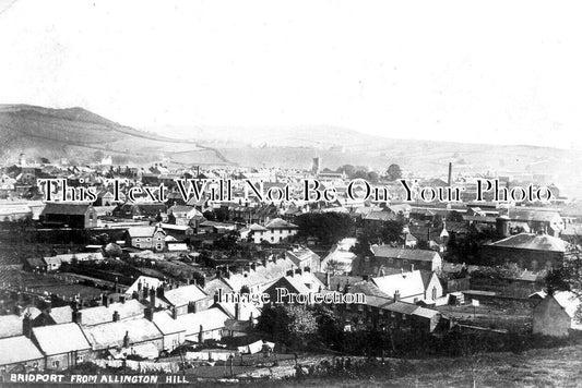 DO 2939 - Bridport From Allington Hill, Dorset c1904