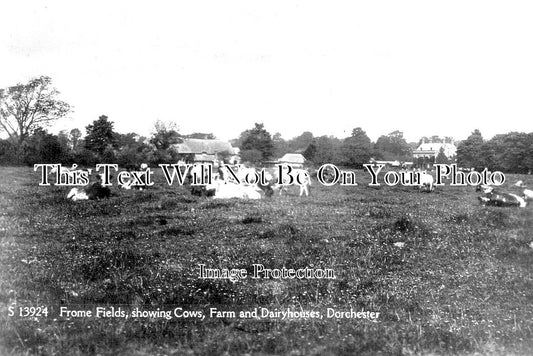 DO 3031 - Frome Fields, Dorchester, Dorset