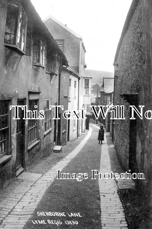 DO 3101 - Sherborne Lane, Lyme Regis, Dorset c1924