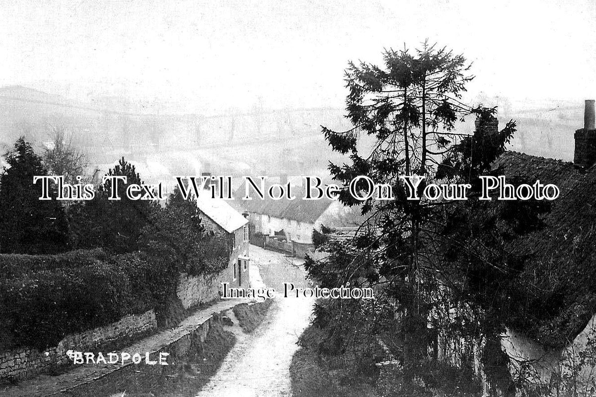 DO 3218 - Bradpole, Dorset – JB Archive
