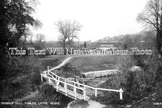 DO 3226 - Middle Mill Fields, Lyme Regis, Dorset c1928