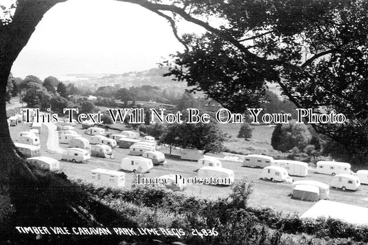 DO 3245 - Timber Vale Caravan Park, Lyme Regis, Dorset c1958