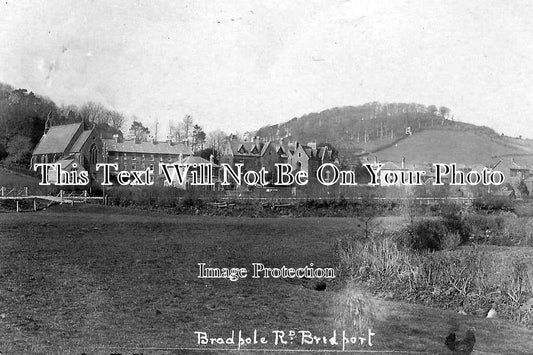 DO 331 - Bradpole Road, Bridport, Dorset c1906