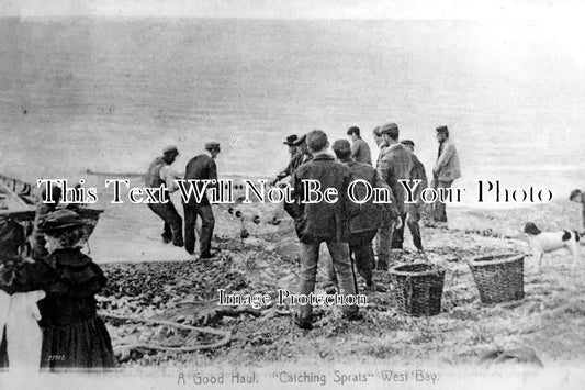 DO 393 - A Good Haul, Catching Sprats, West Bay, Dorset c1905