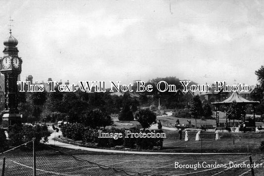 DO 446 - Borough Gardens, Dorchester, Dorset