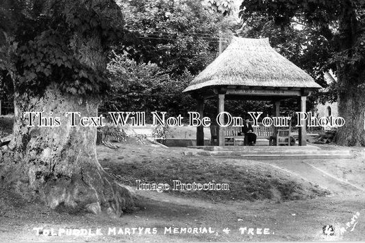 DO 513 - Tolpuddle Martyrs Memorial & Tree, Dorset c1934